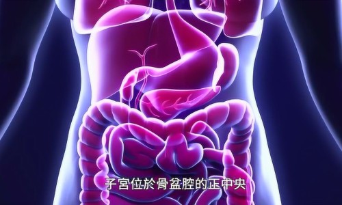 刚出生婴儿连续打嗝网—知名的刚出生婴儿连续打嗝怎么办网站,分享刚出生的婴儿怎么护理知识